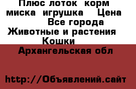 Плюс лоток, корм, миска, игрушка. › Цена ­ 50 - Все города Животные и растения » Кошки   . Архангельская обл.